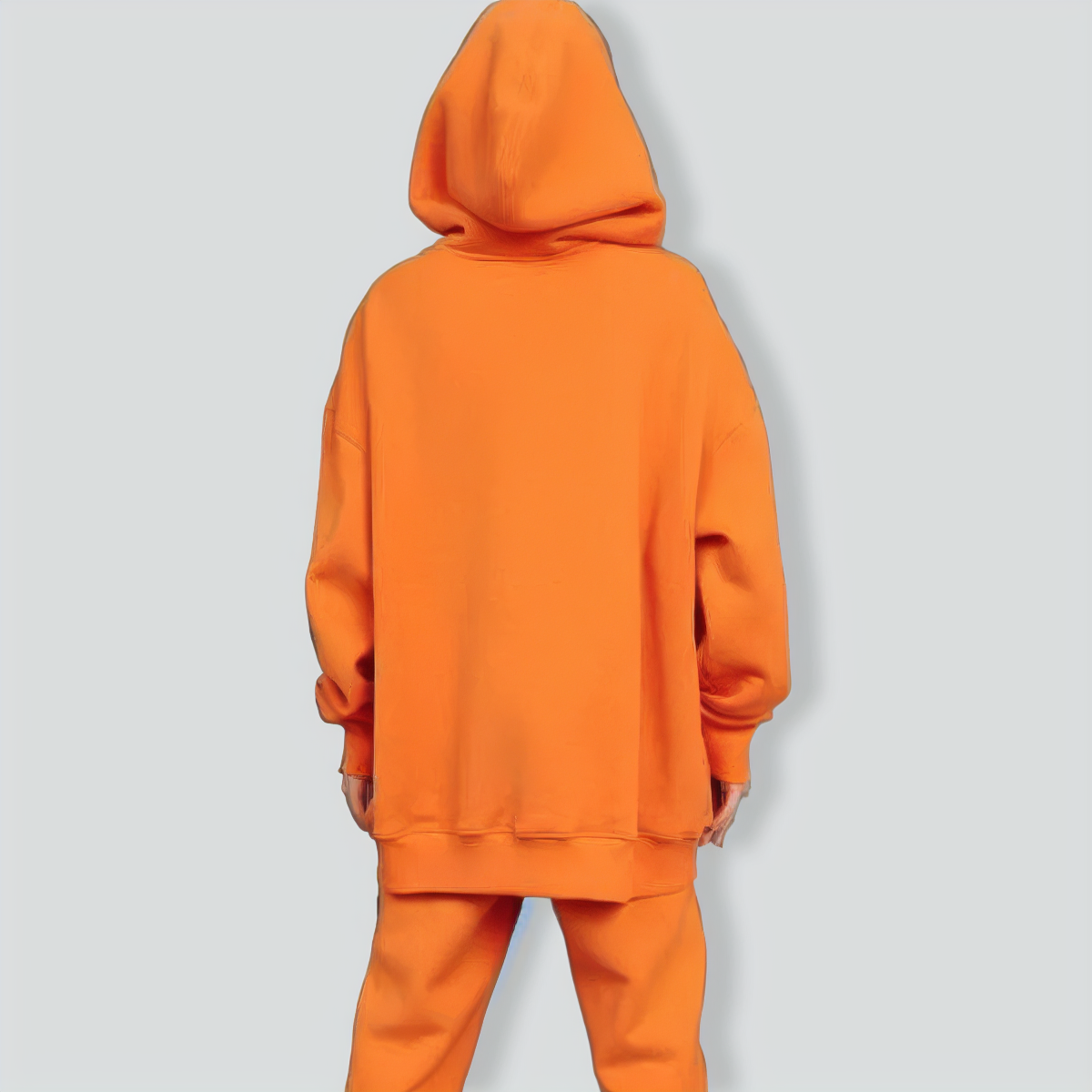 Casual Solid Color Long Sleeves Hooded Set