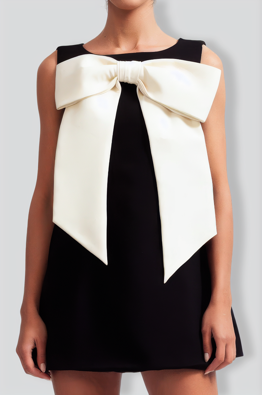 Sleeveless Massive Ribbon Mini Dress - Black