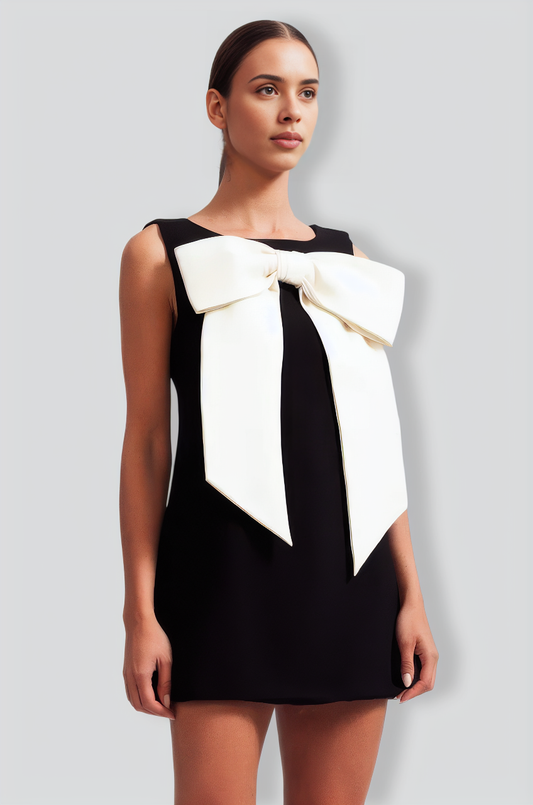 Sleeveless Massive Ribbon Mini Dress - Black
