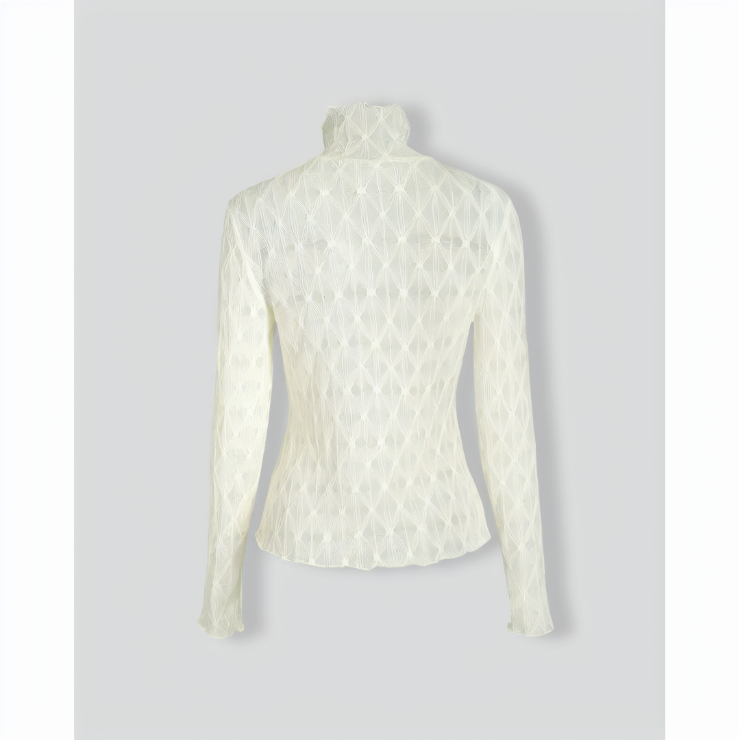 The Solid Sheer Mesh Long Sleeve Tee